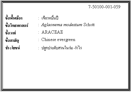 กล่องข้อความ: 7-50100-001-059 ชื่อพื้นเมือง : เขียวหมื่นปี ชื่อวิทยาศาสตร์ : Aglaonema modestum Schott ชื่อวงศ์ : ARACEAE ชื่อสามัญ : Chinese evergreen ประโยชน์ : ปลูกประดับสวนในร่ม-รำไร